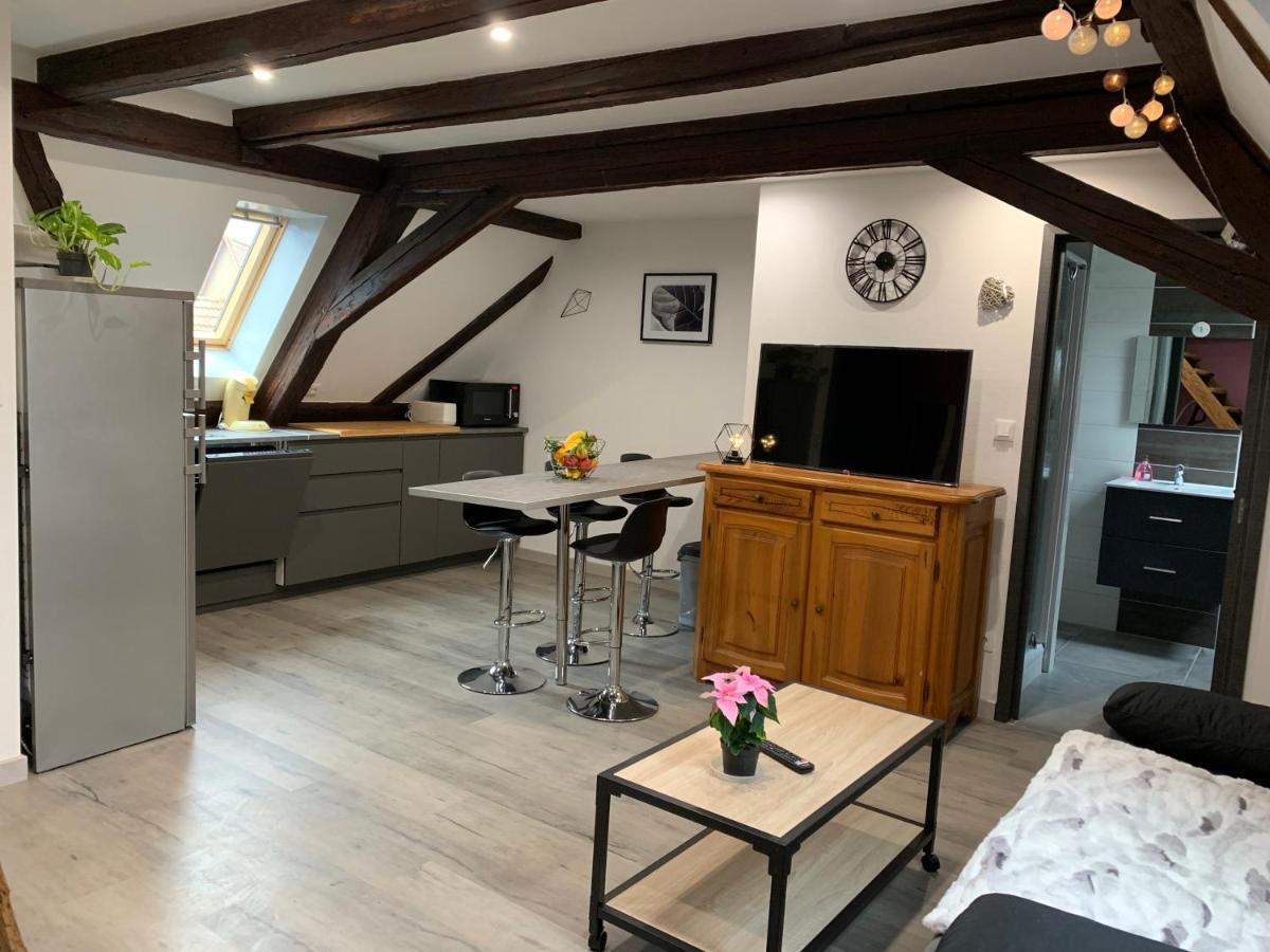 Gite Du Figuier 4 A 6 Personnes Selestat Centre-Alsace Eksteriør billede